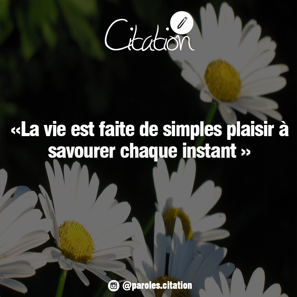 Citations Dictons Quotes Pensees Positives